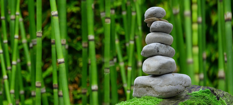 bamboo gardening